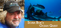 Scuba Bob’s Ocean Quest webgraphic